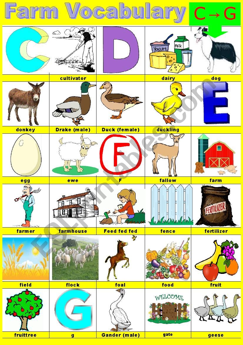 Farm vocabulary - Pictionary -  C to G