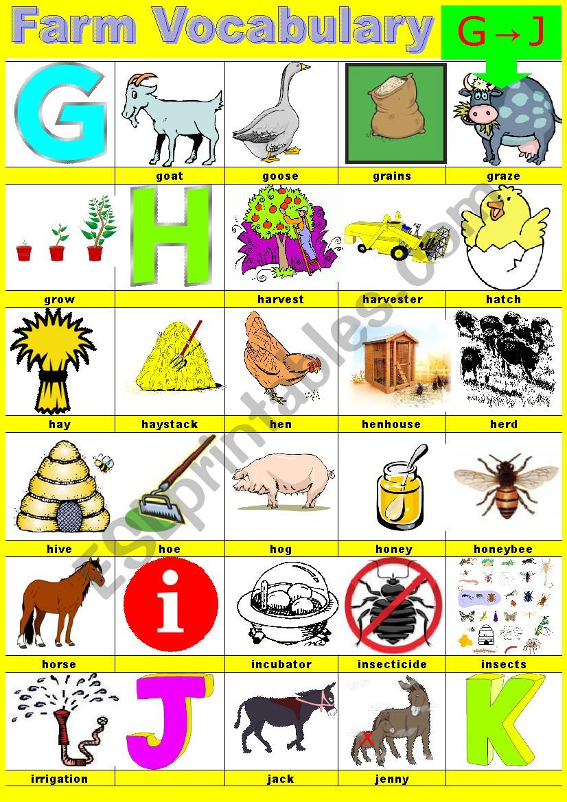 Farm vocabulary - Pictionary -  G to J