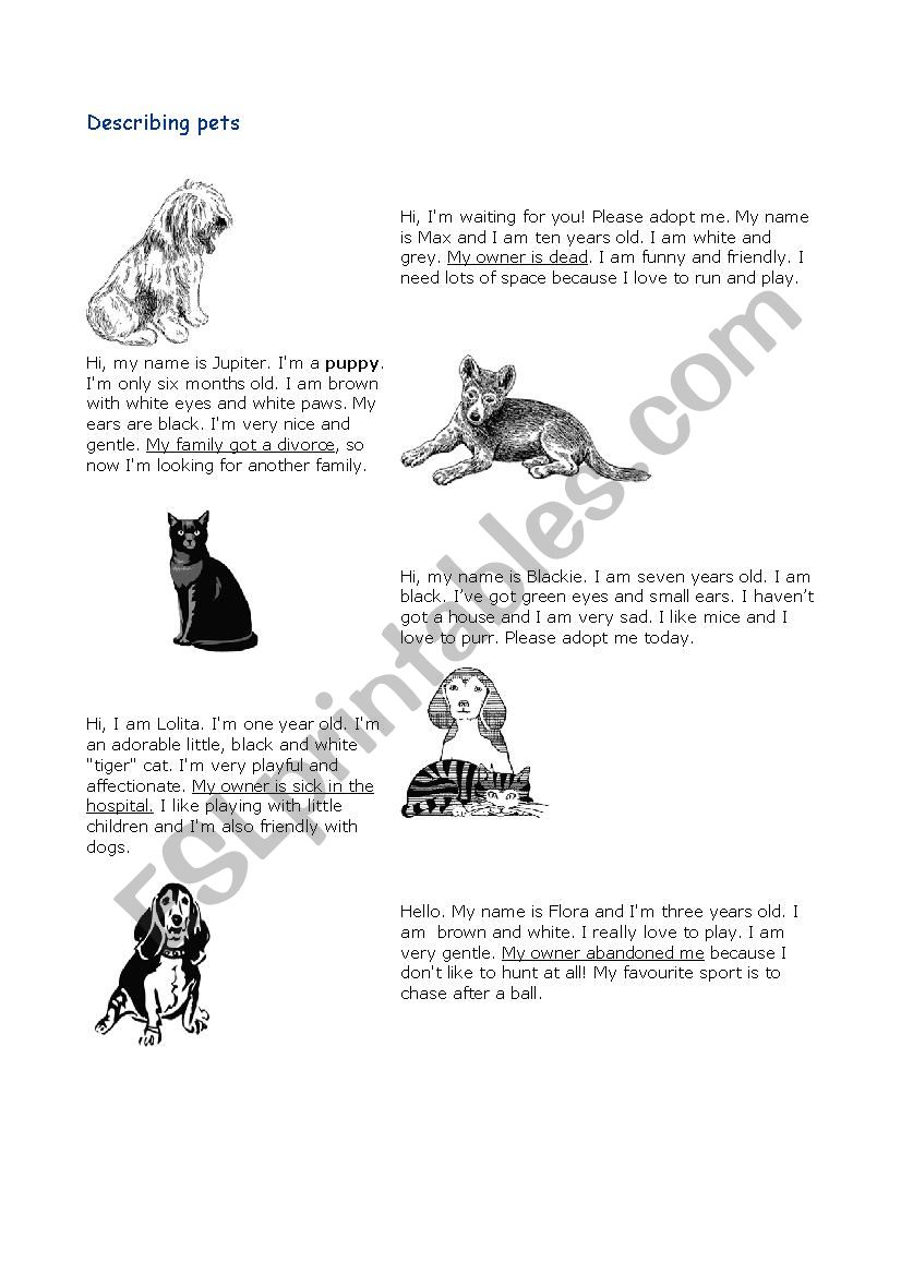 matching pets worksheet