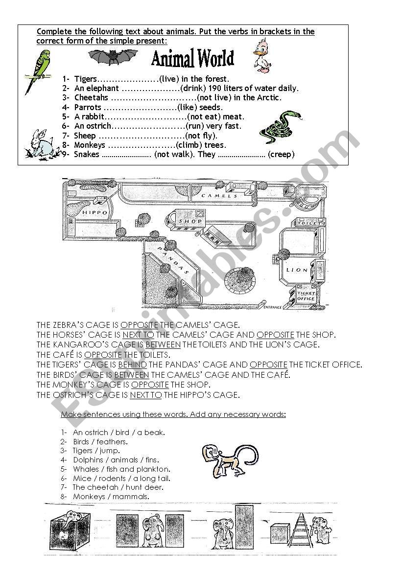 Animal world worksheet