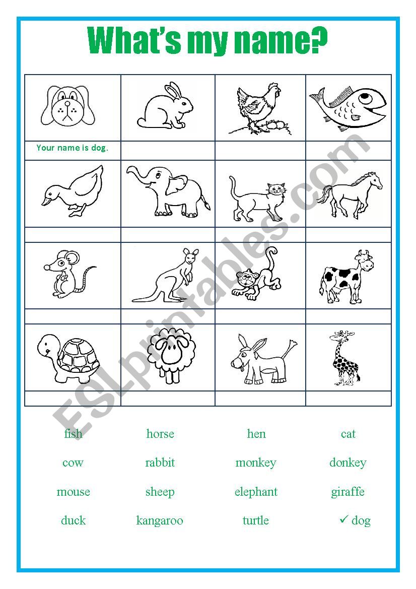 Whats my name? worksheet