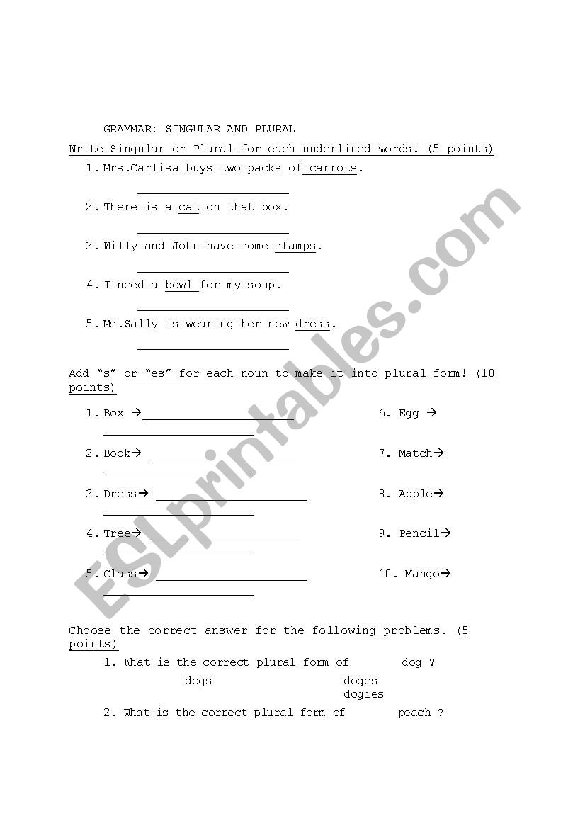 SINGULAR AND PLURAL worksheet