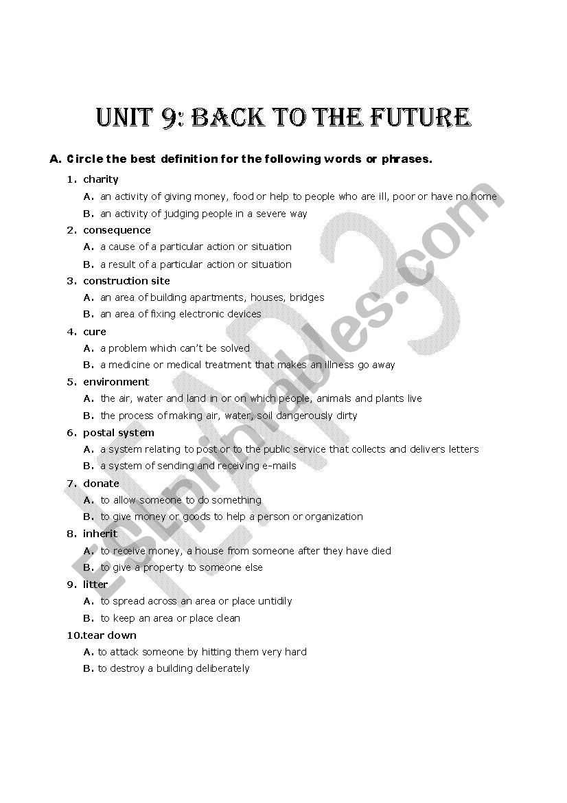 Interchange Vocabulary Unit 9 worksheet