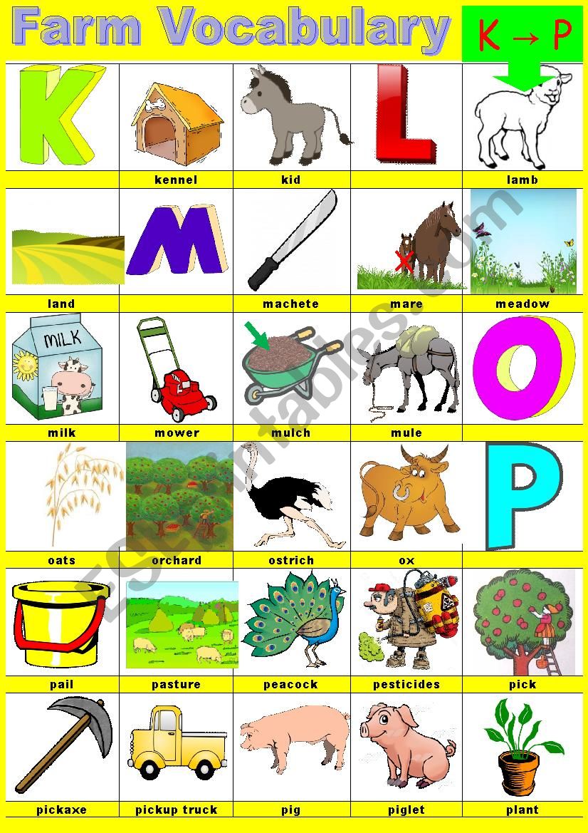 Farm vocabulary - Pictionary -  K to P