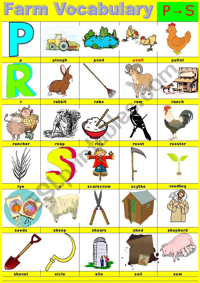 Farm vocabulary - Pictionary -   P to S