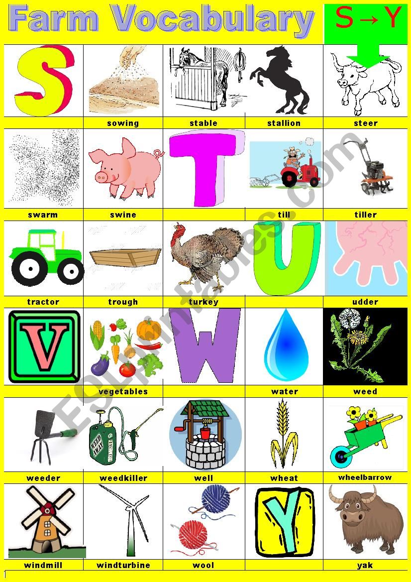 Farm vocabulary - Pictionary -  S to Y