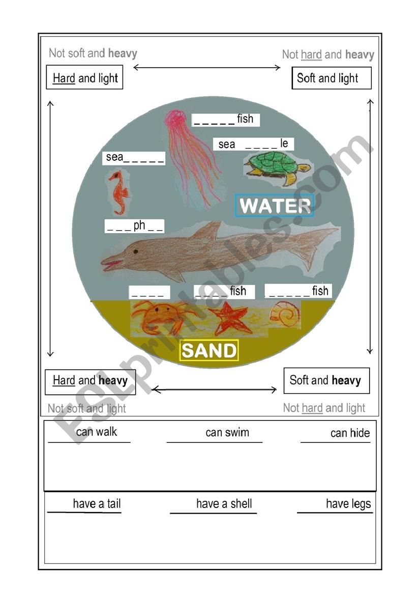 Marine Life worksheet