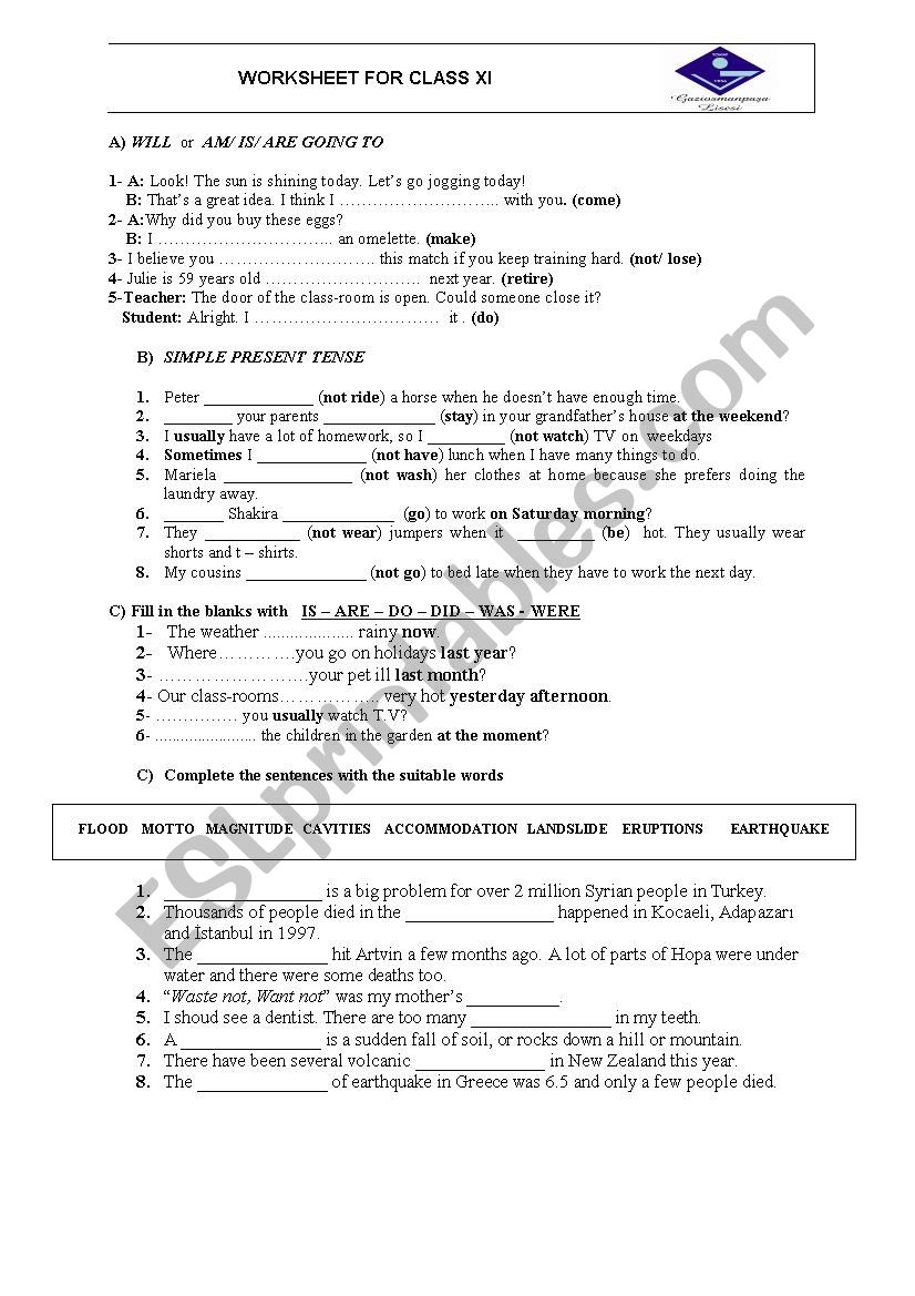 Worksheet For 11th Grade worksheet