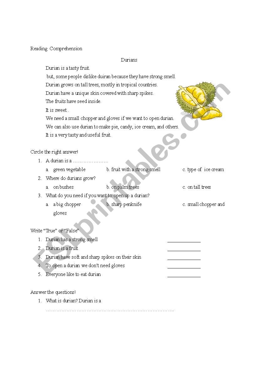 READING COMPREHENSION worksheet