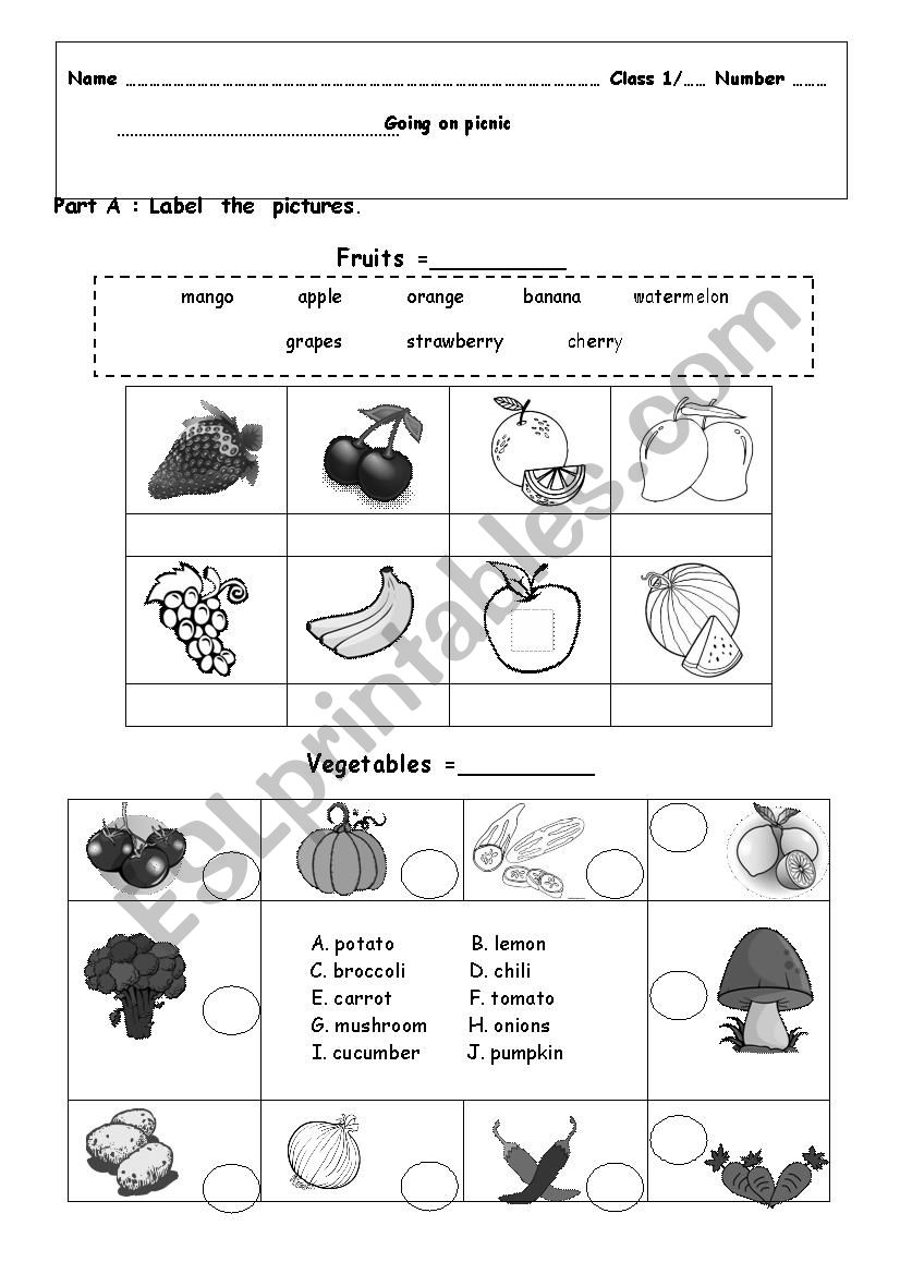 Going Picnic worksheet