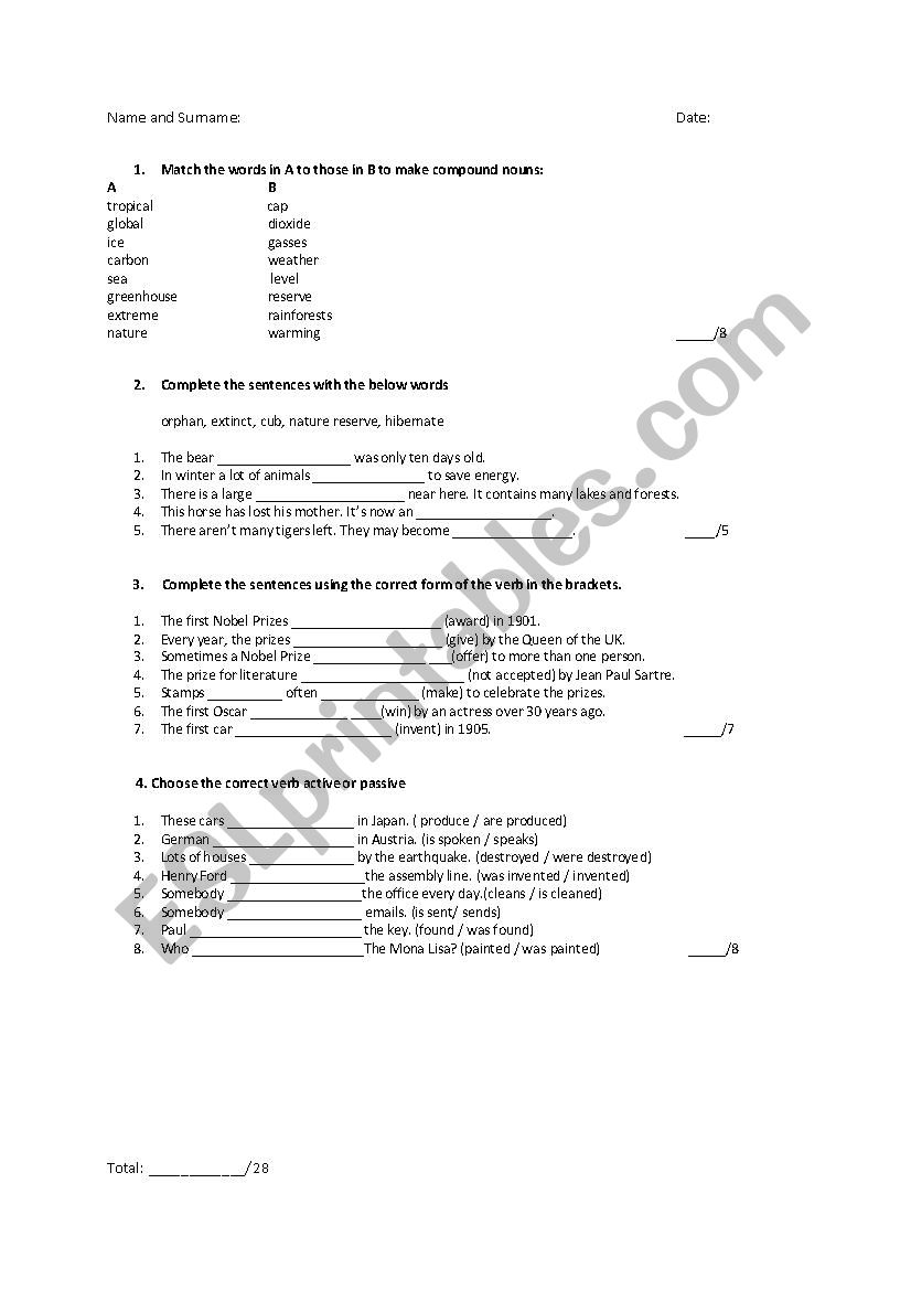 Verb Tenses and Skills Test  worksheet