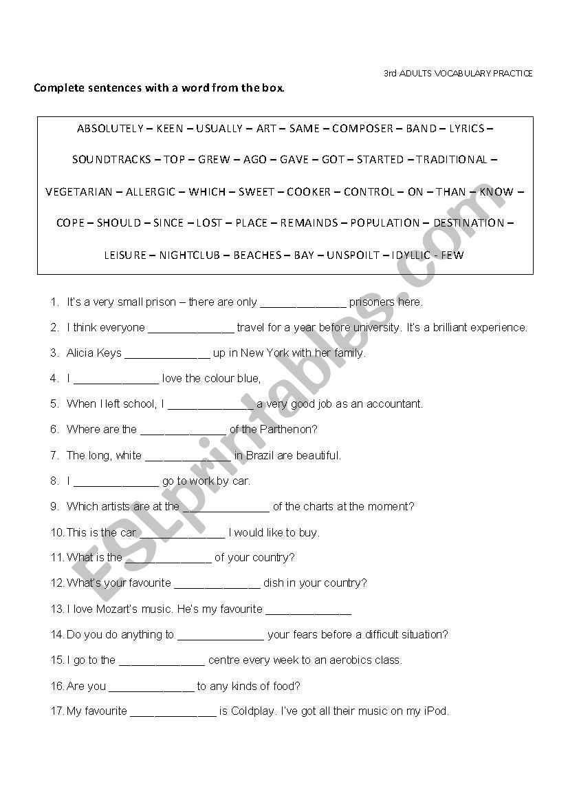 Vocabulary Practice worksheet