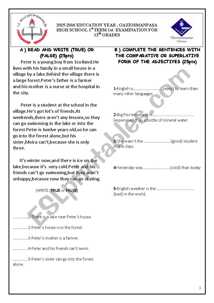 EXAM FOR GRADE 12 worksheet