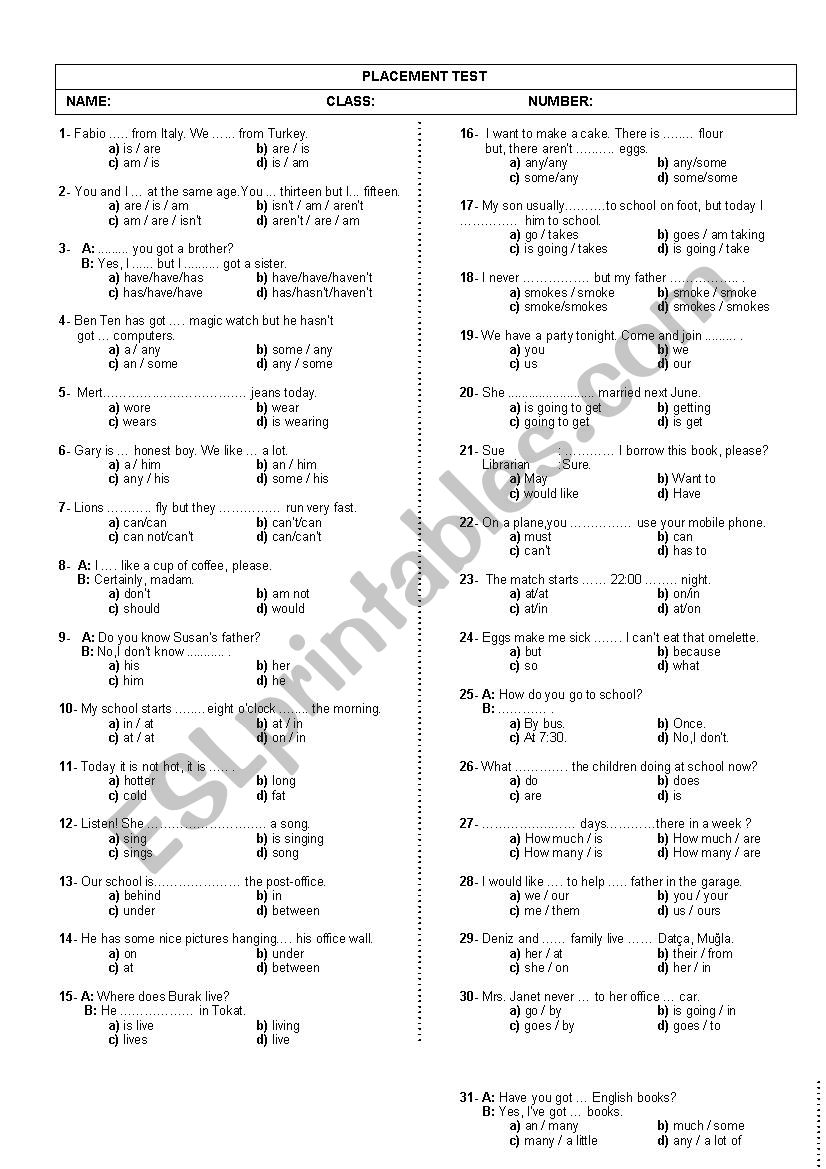 PLACEMENT TEST worksheet