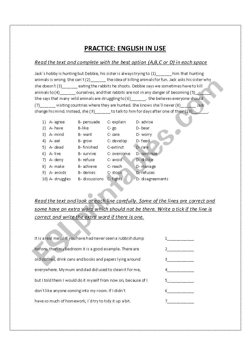 Practice: English in Use worksheet