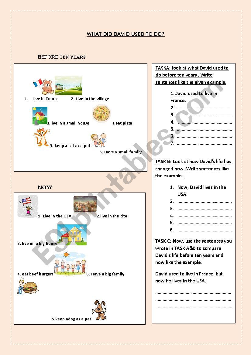 what did David used to do? worksheet