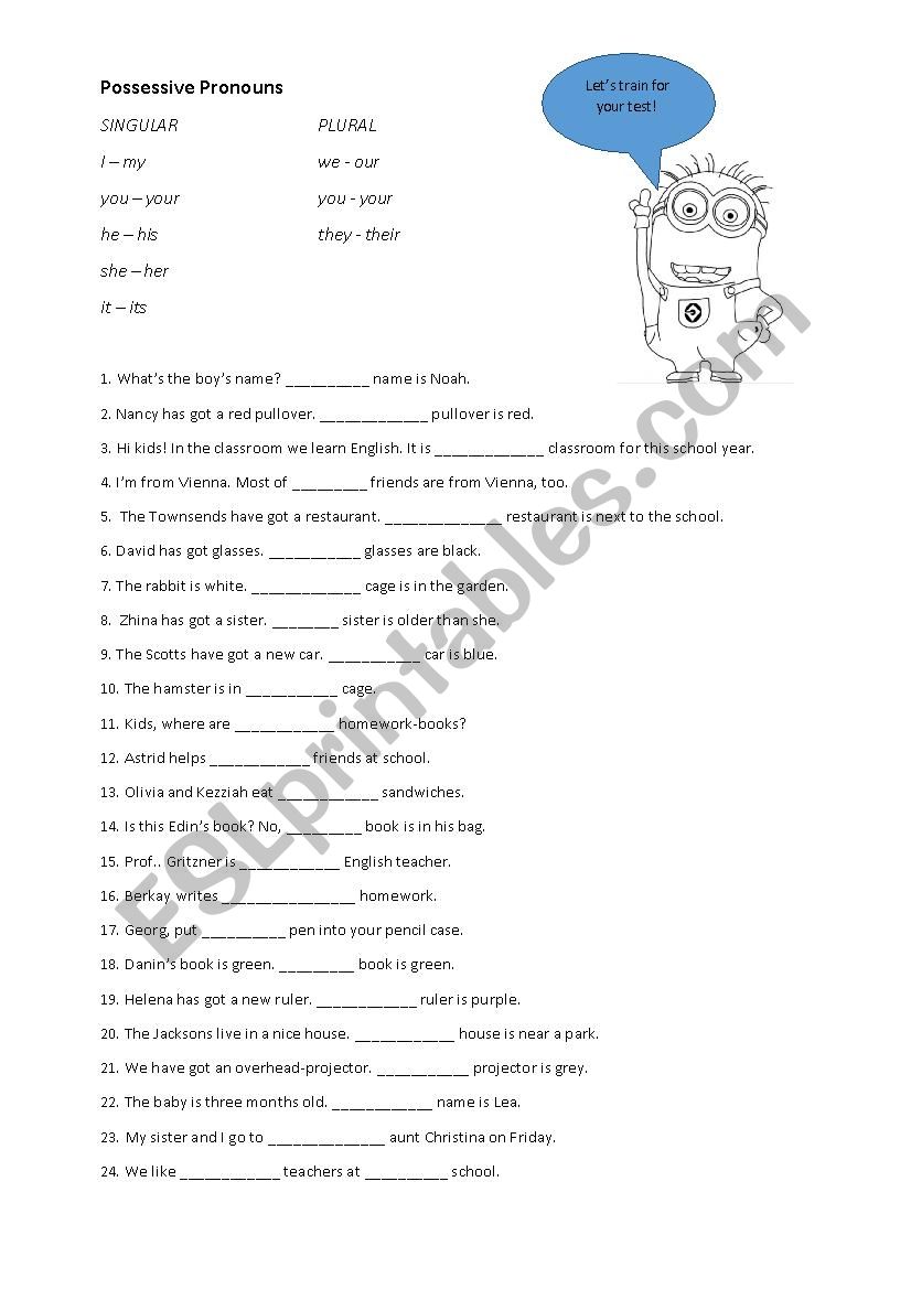 Possessive Pronouns worksheet