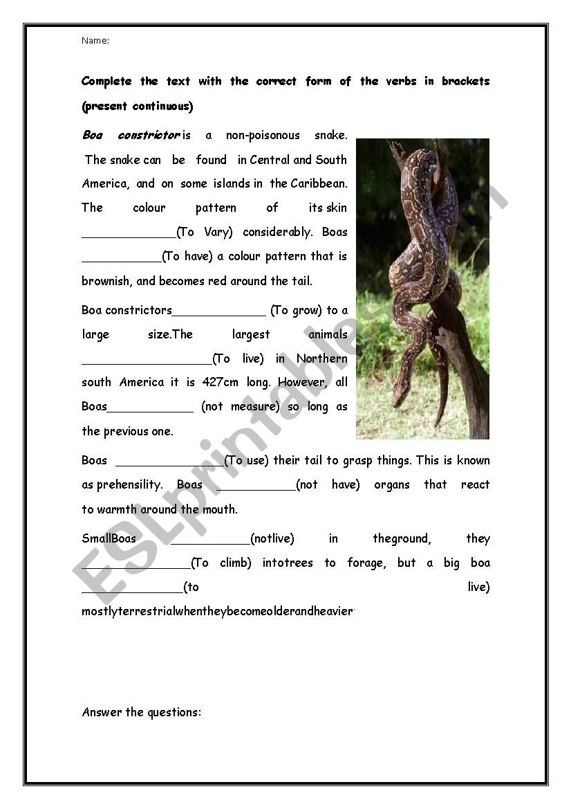 present simple (snakes) worksheet