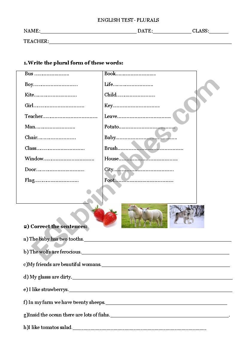 Test plural worksheet