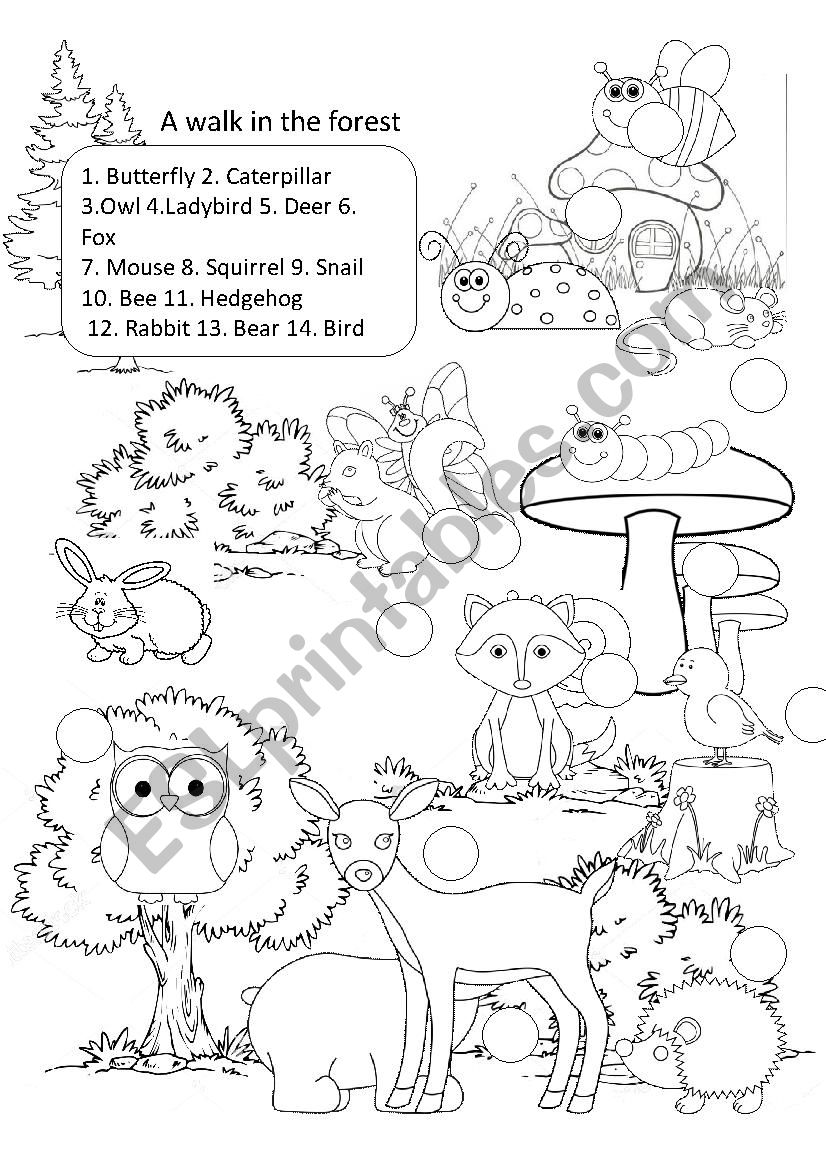 A Walk in the Forest  worksheet