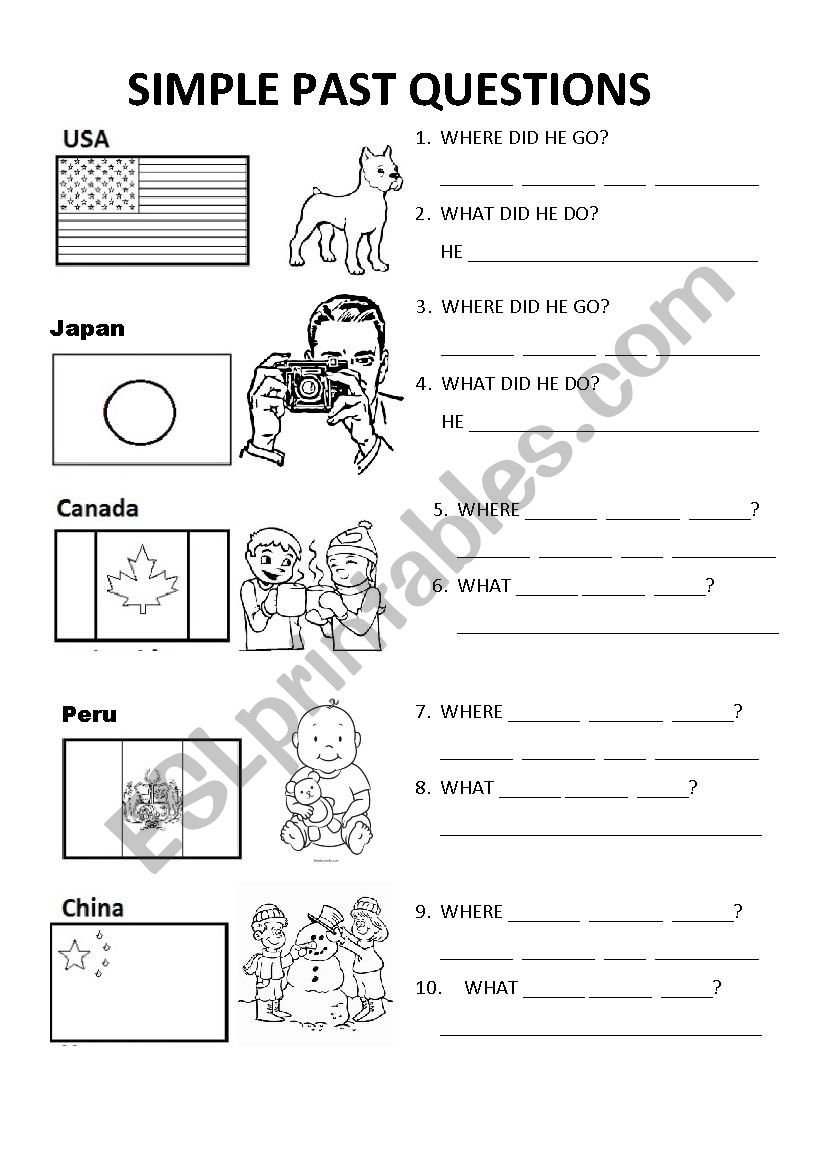 simple past questions worksheet