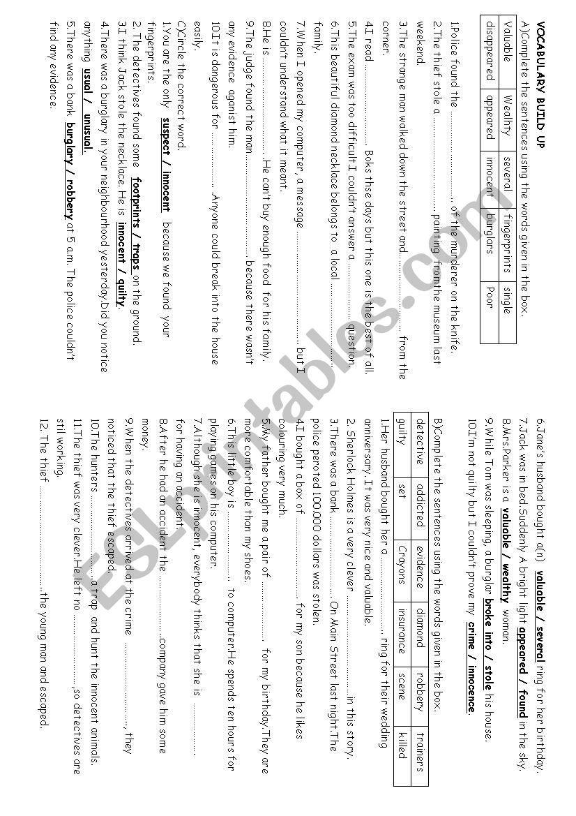 Vocabulary  worksheet