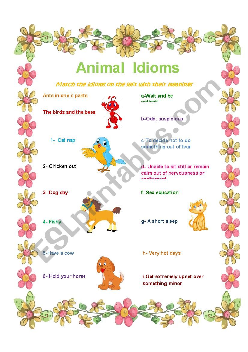 Animal Idioms worksheet