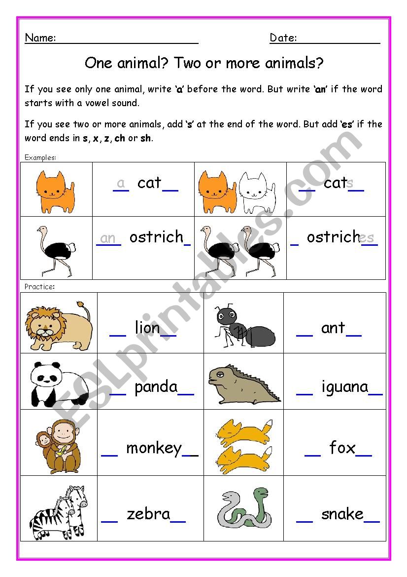 Single and plural nouns - a or an - s or es -