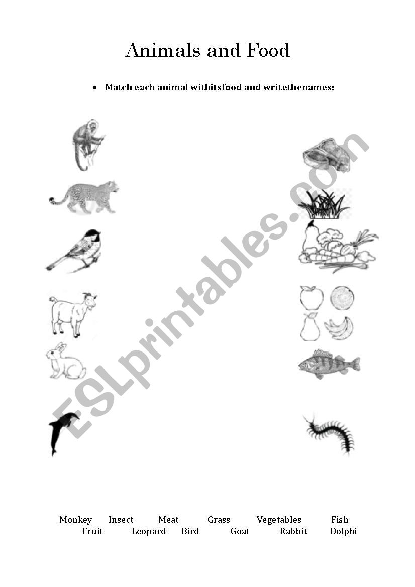 Food and Animals worksheet