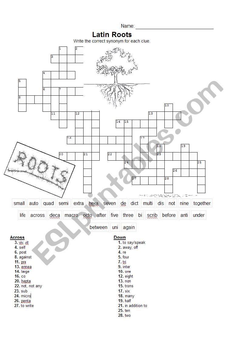 Latin & Greek Root Words Crossword & Writing Exercise