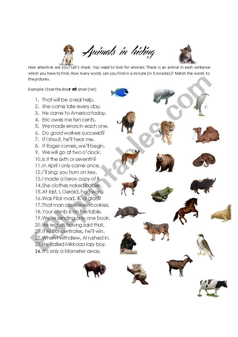 Animals in hiding - ESL worksheet by Johnny_the_great