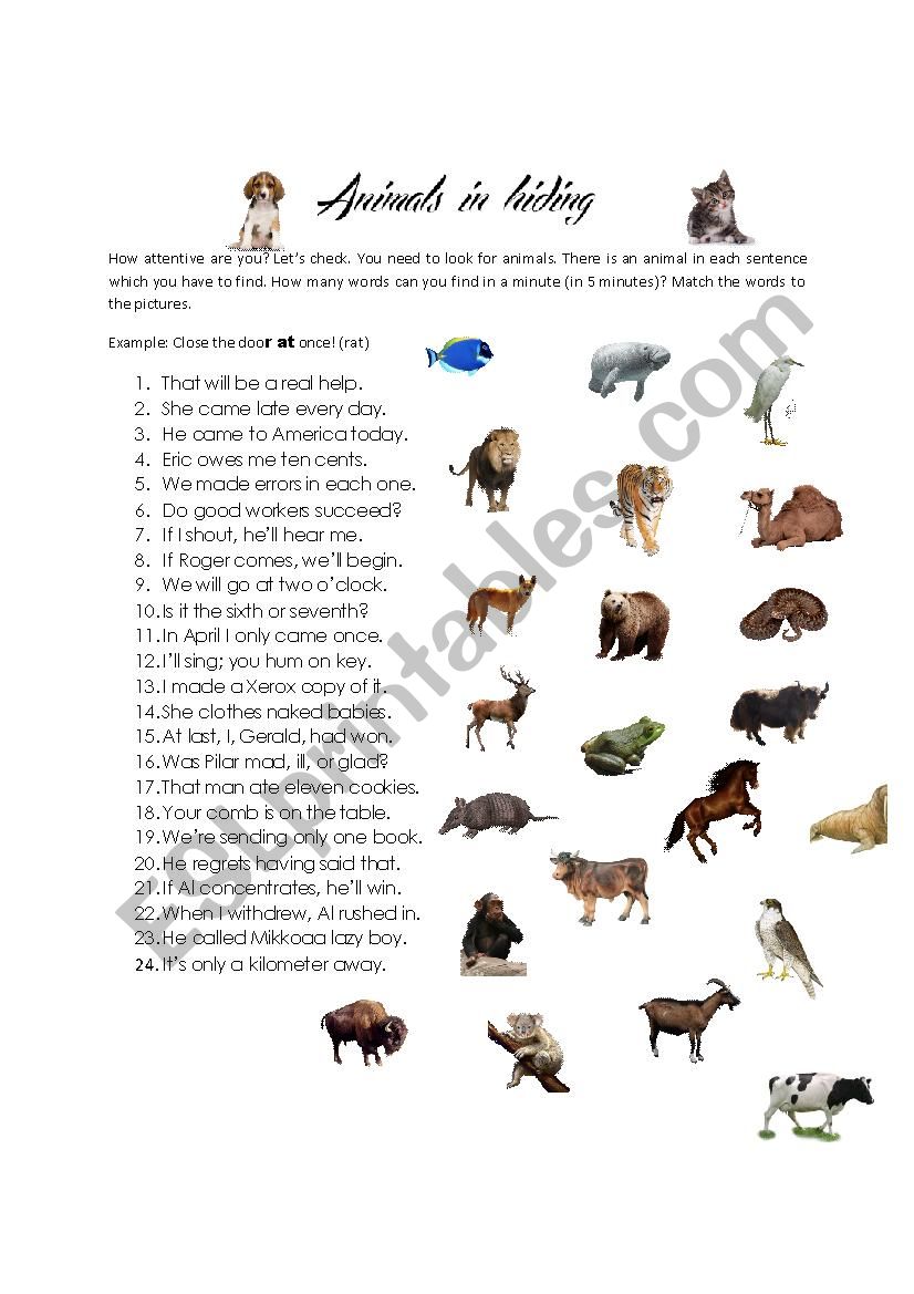 Animals in hiding worksheet