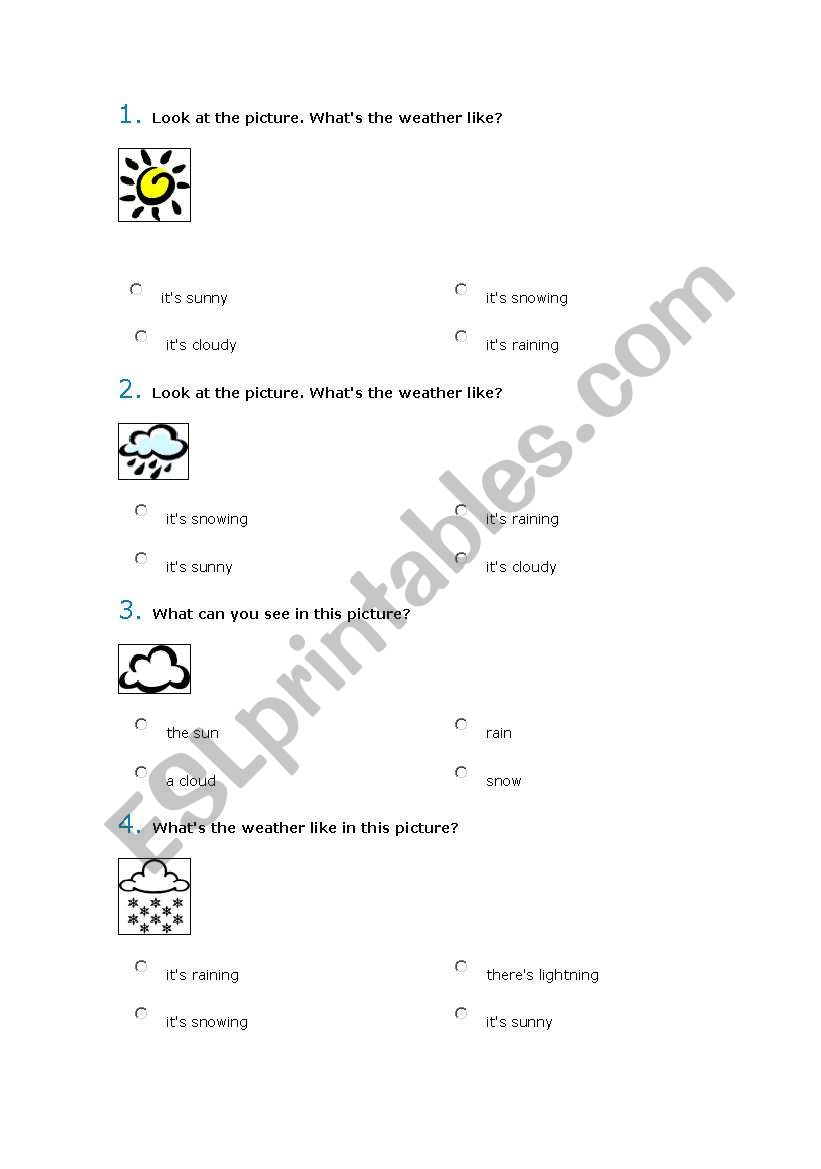 Weather Quiz worksheet