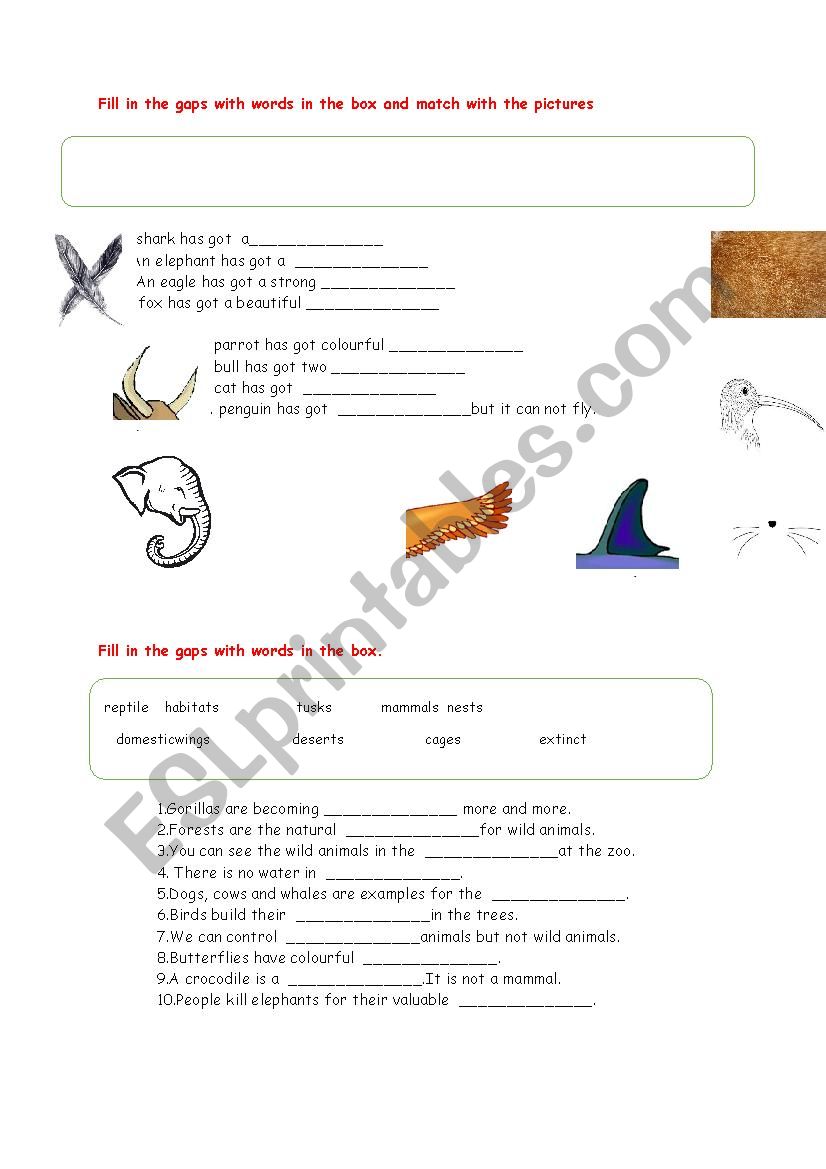 Body parts of the animals worksheet