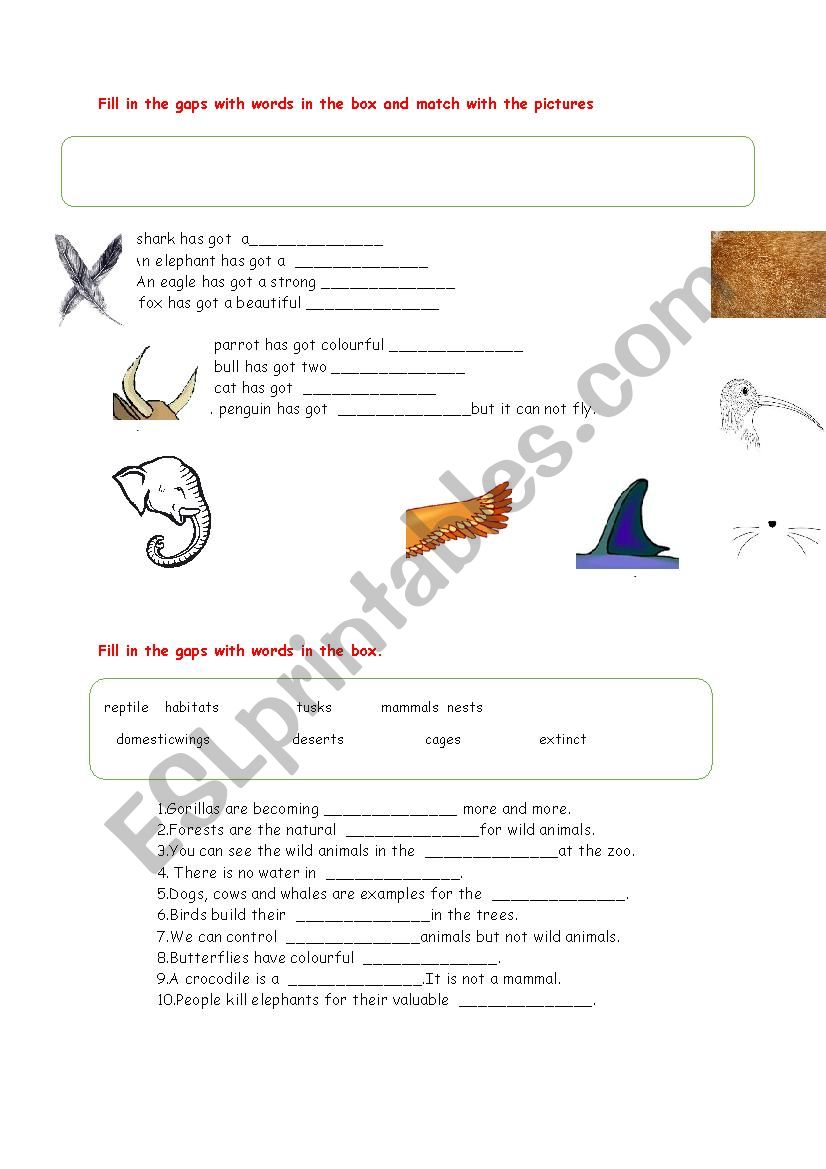 Body parts of the animals worksheet
