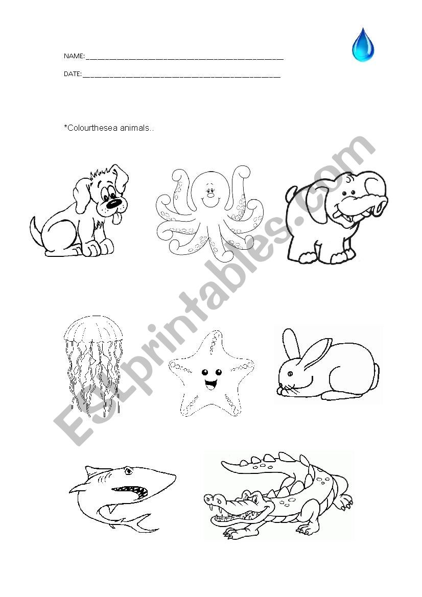 Animals worksheet