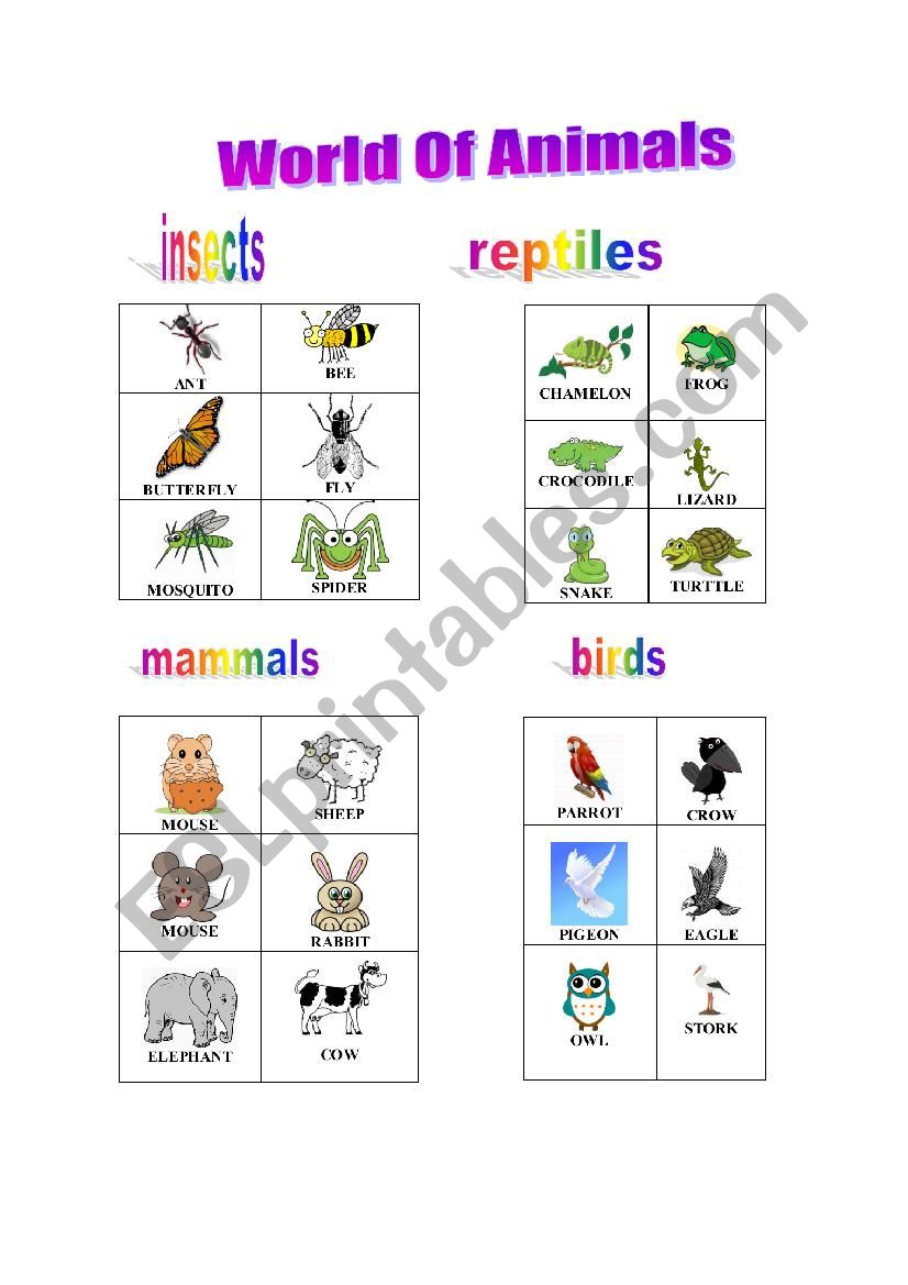 World of Animals worksheet