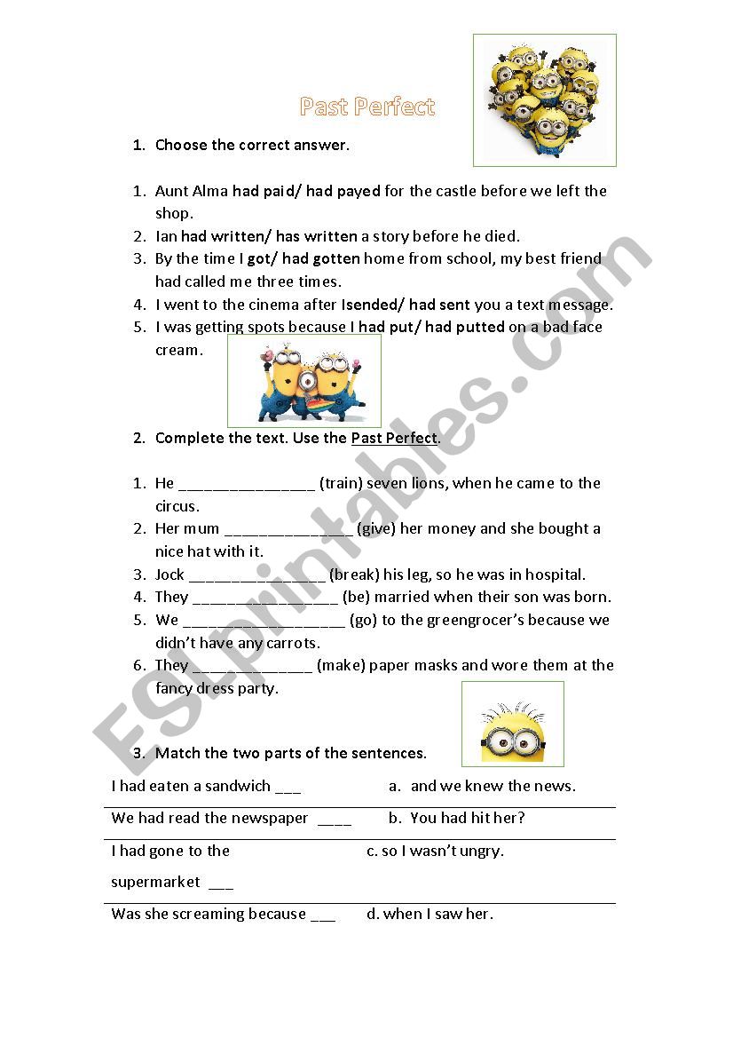 Past Perfect Simple worksheet