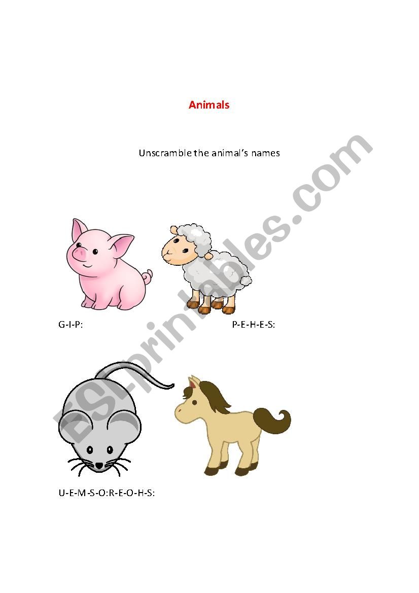 Animals worksheet