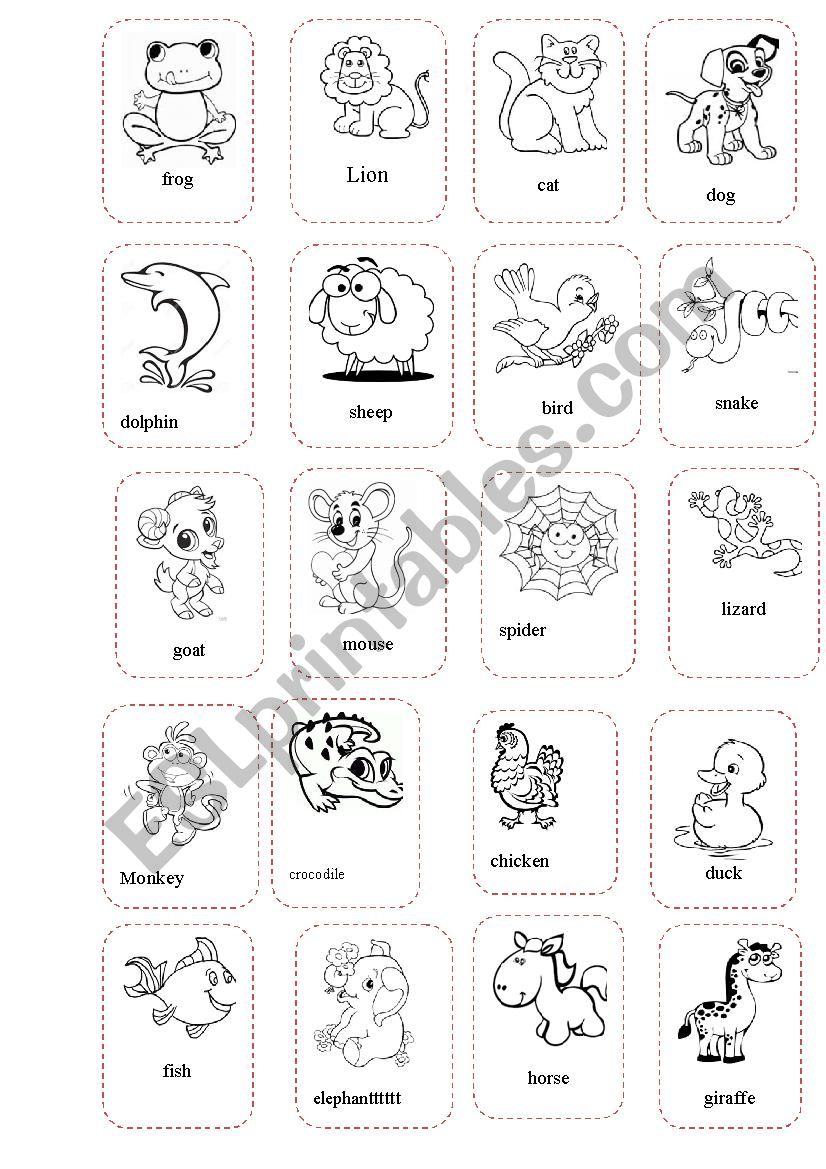 animals flashcards worksheet