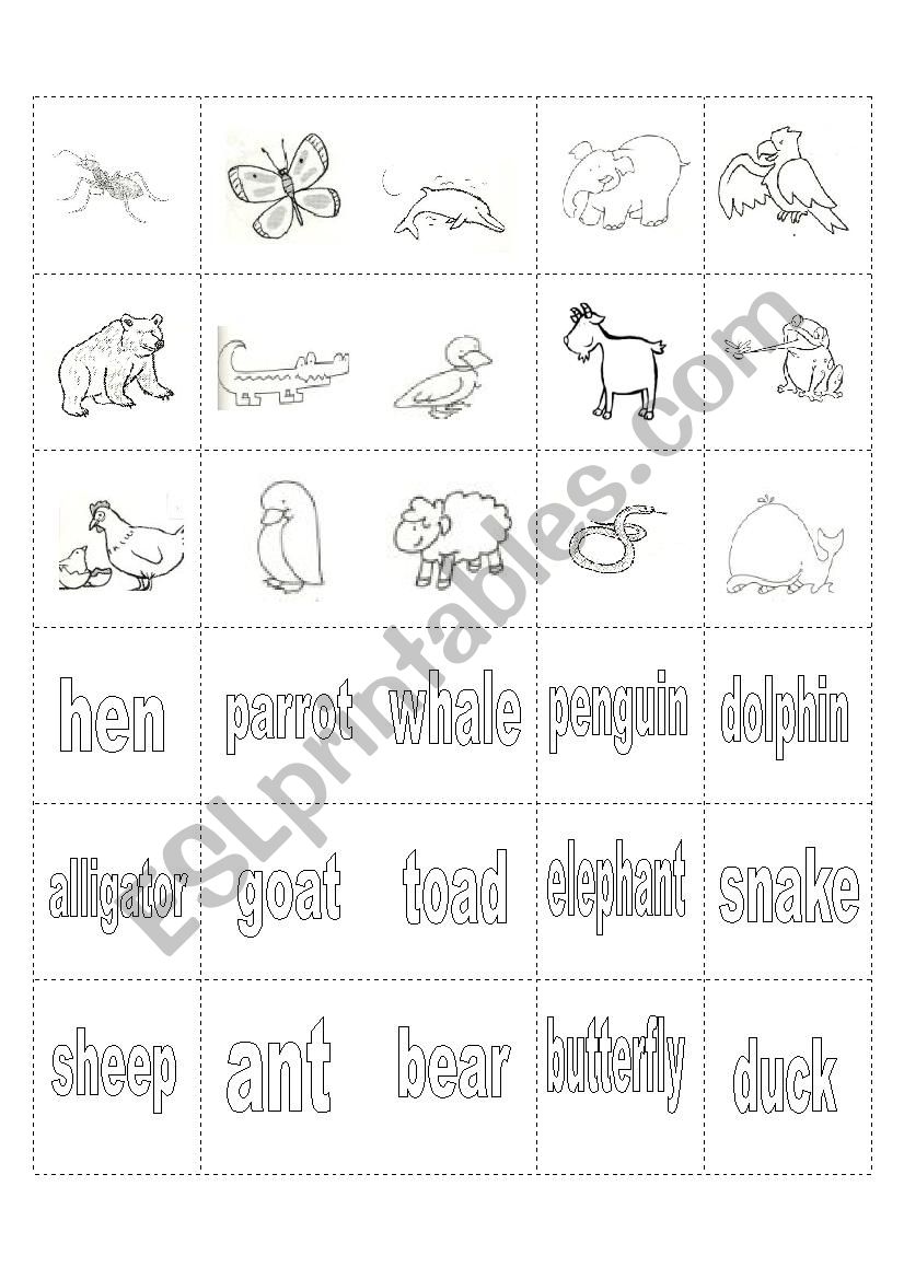 Cut and Match Animal  worksheet