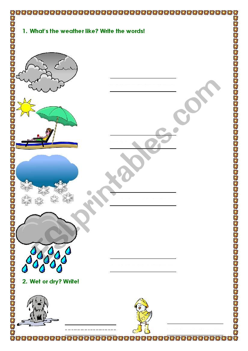 Weather Simple Worksheet worksheet