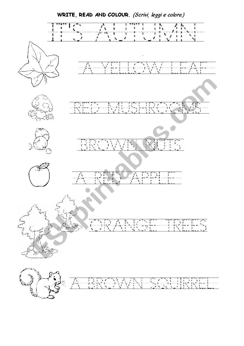 AUTUMN WORDS worksheet