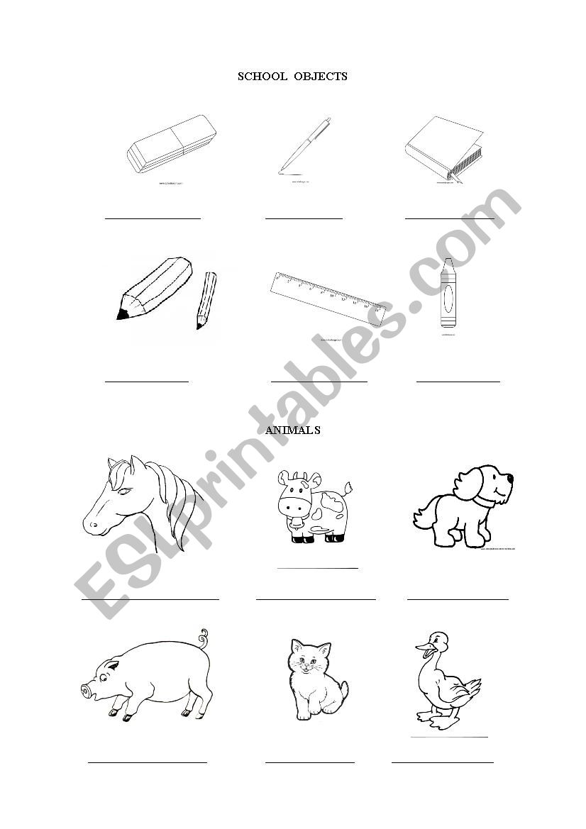 SCHOOL OBJECTS AND ANIMALS worksheet