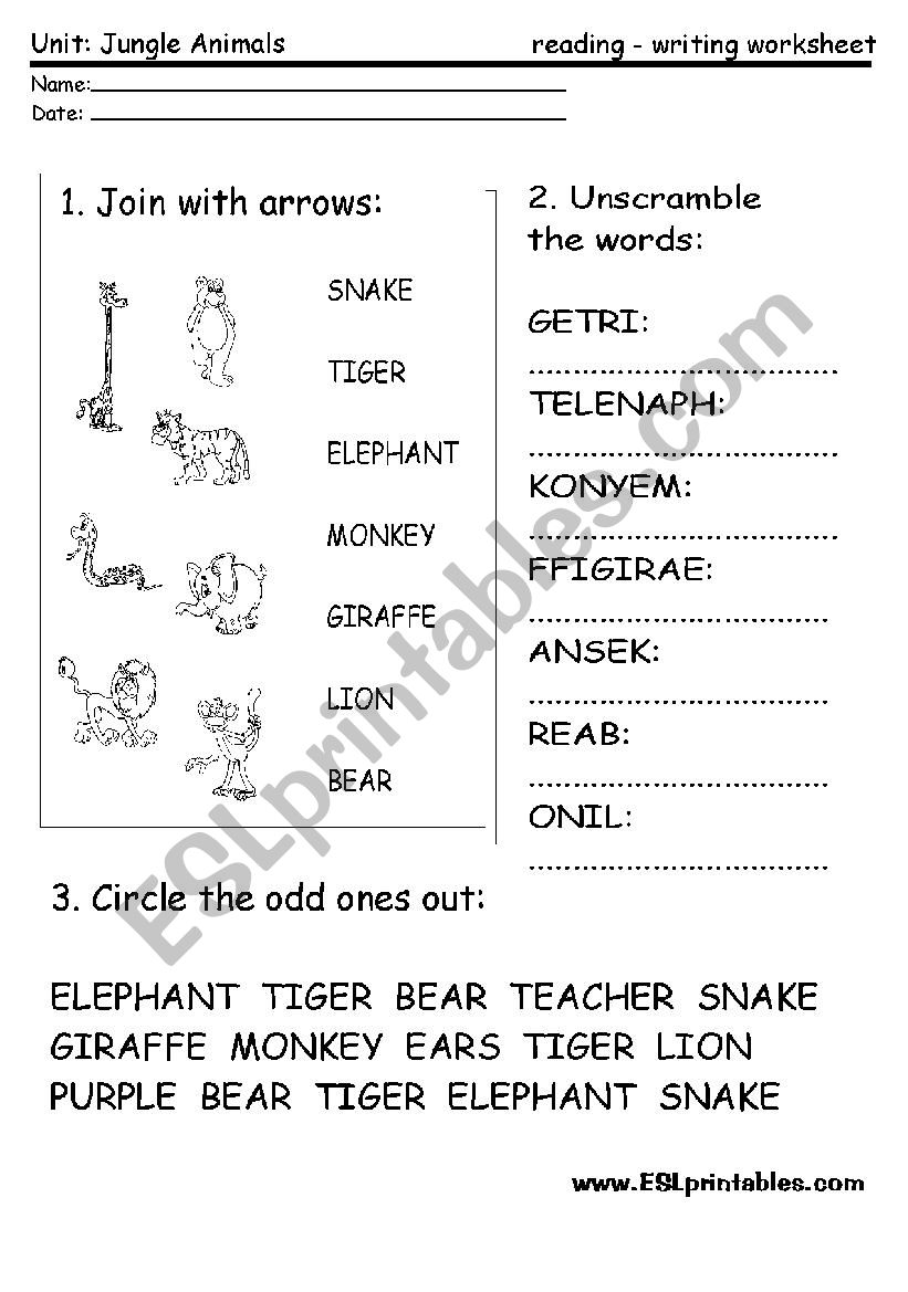 Jungle animals: reading-writing worksheet