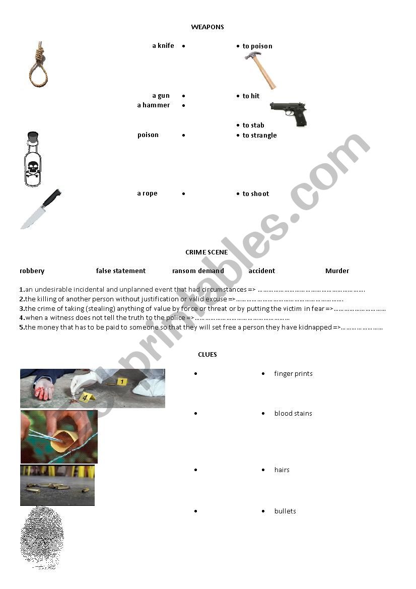 Crime Scene  worksheet