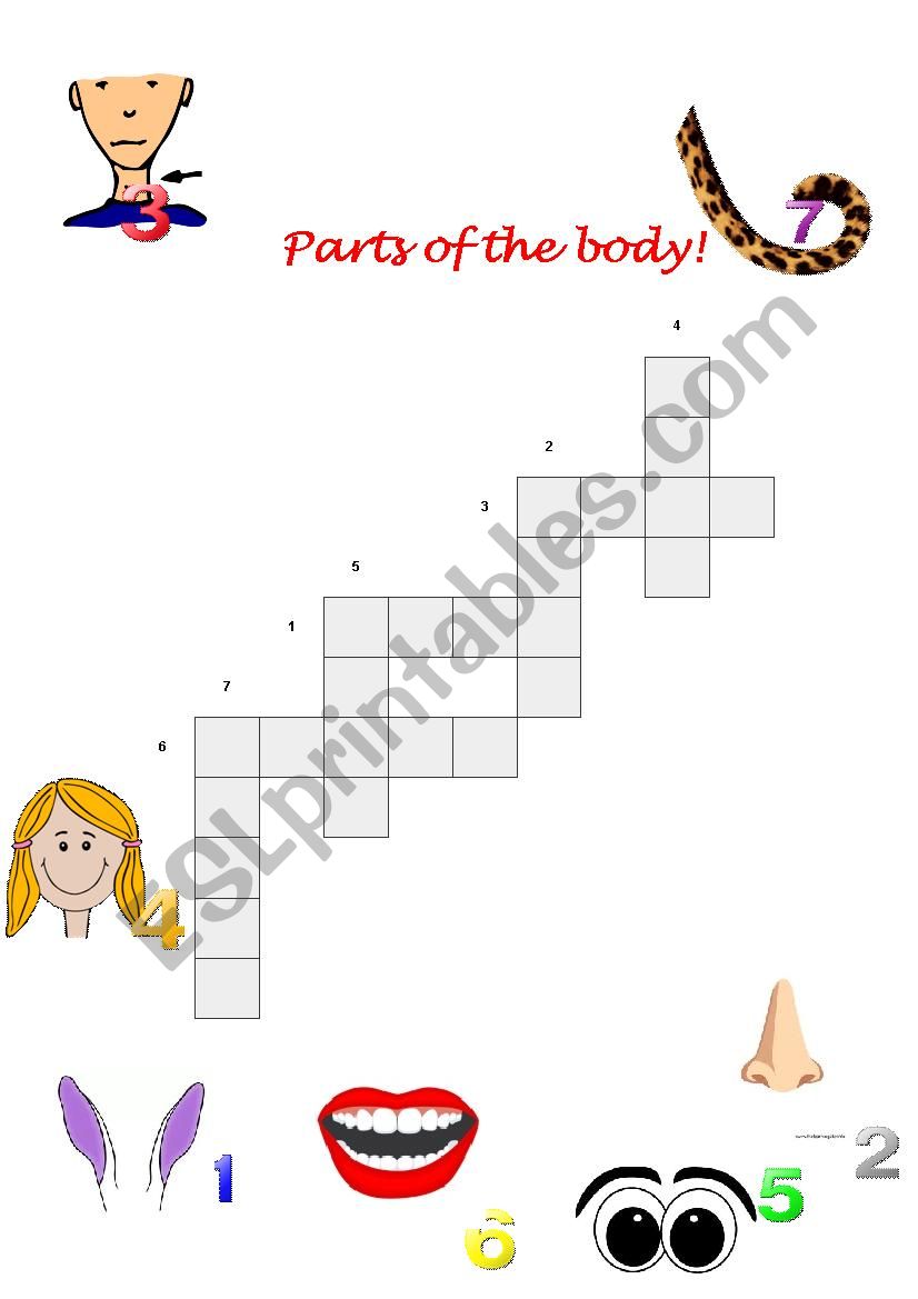 crossword parts of the body worksheet