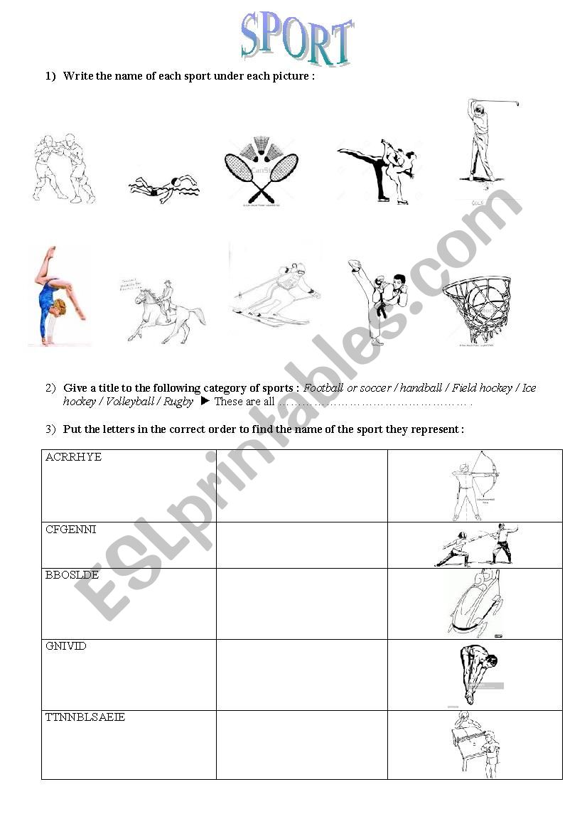 sport worksheet worksheet