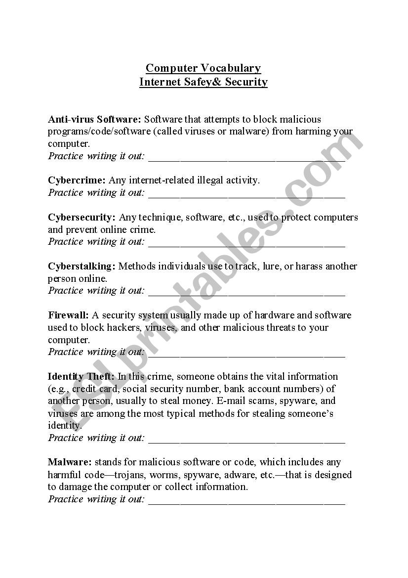 Computer Vocabulary: Internet Safety 