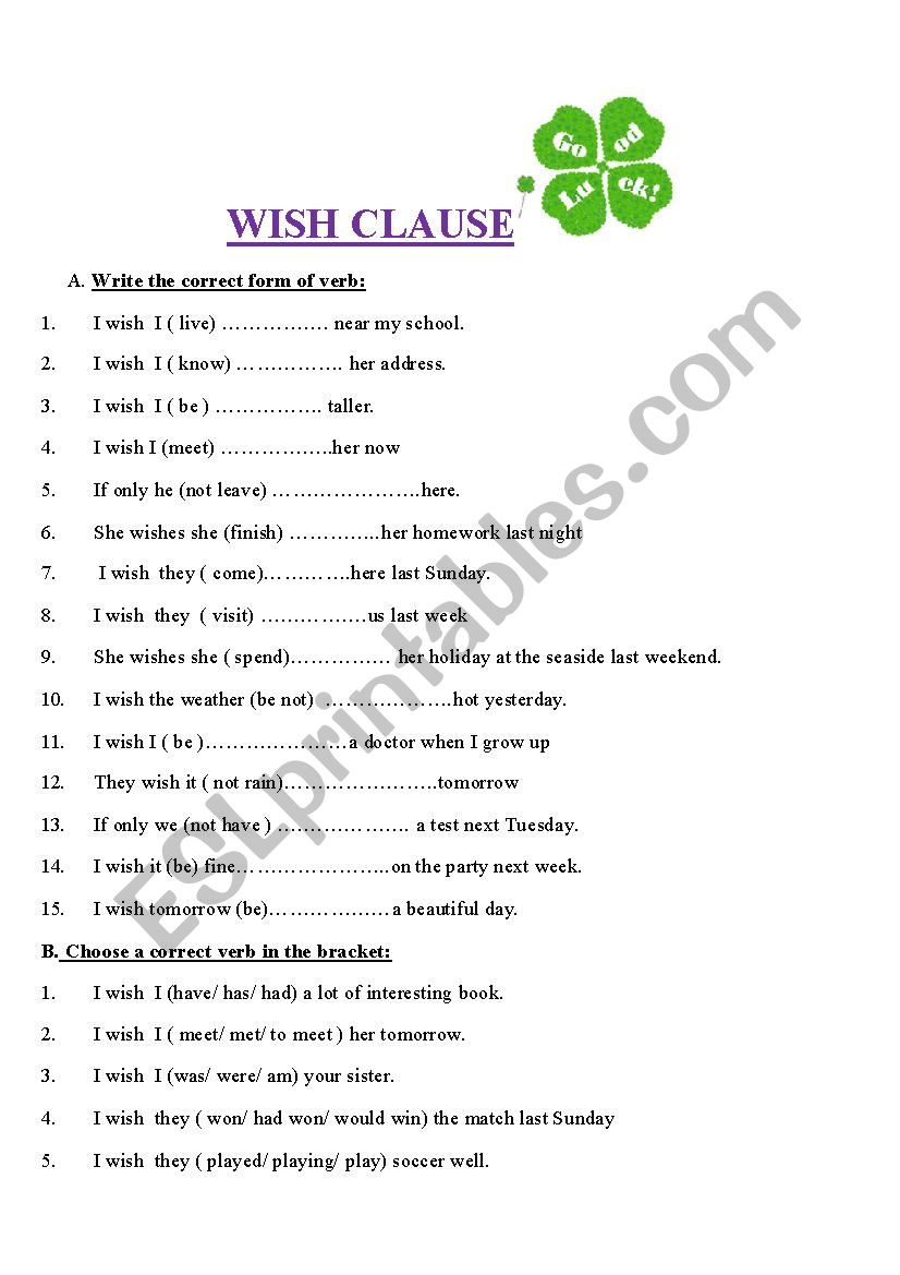 EXERCISE FOR WISH  worksheet